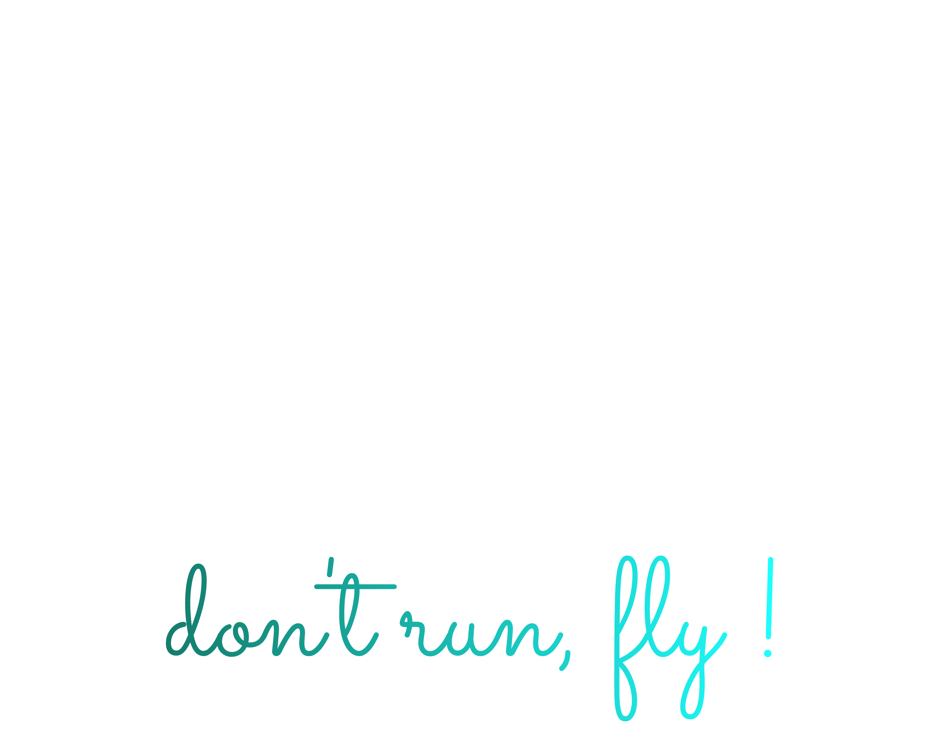 Logo de l'ESN Fly IT Swiss