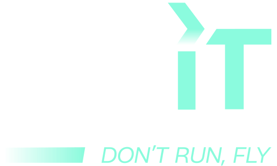 Fly'IT ESN 3.0 – Lyon